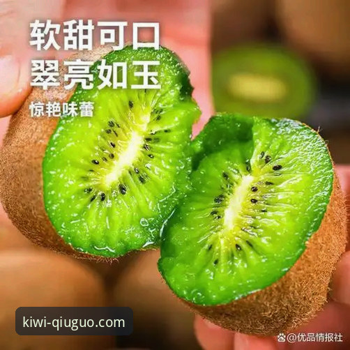 奇异果体育官网2026最新版本：8大核心功能升级详解与使用指南