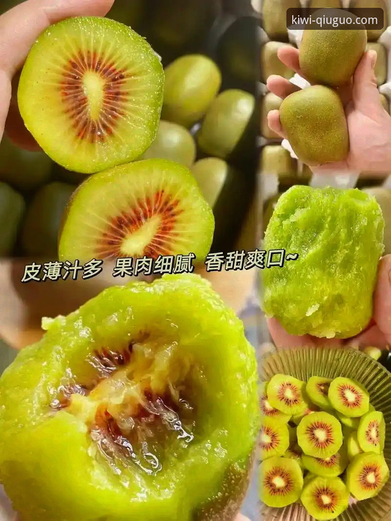奇异果体育旧版本下载2026最新版本 奇异果体育平台旧版本下载2026最新版本迎来重大突破,用户反馈新功能全面升级